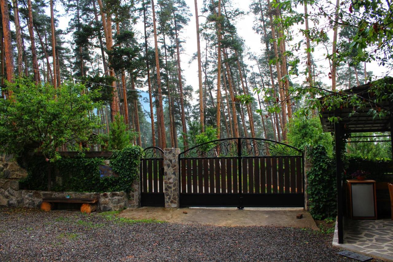 Guest House on Meskheti Bordjomi Extérieur photo