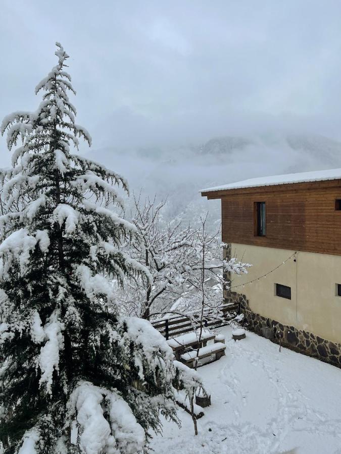 Guest House on Meskheti Bordjomi Extérieur photo